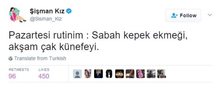 Sadece Hamburgeri Patatesi Elmalı Turtayı Aynı Anda Yiyenlerin Anlayacağı 14 Tweet