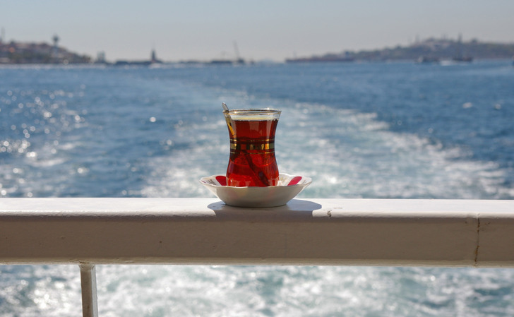 chapedia - tavşan kanı çay