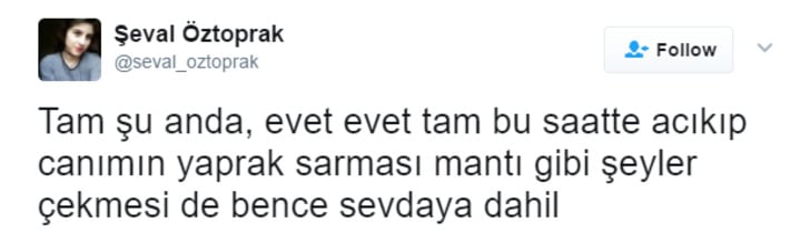 Mantının da Sevdaya Dahil Olduğunun Kanıtı 12 Aşk Dolu Tweet