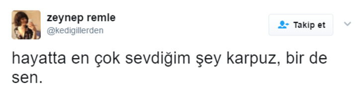 En Sevdiği Meyve Karpuz Olan Herkesin Görmesi Gereken 13 Kesmece Tweet