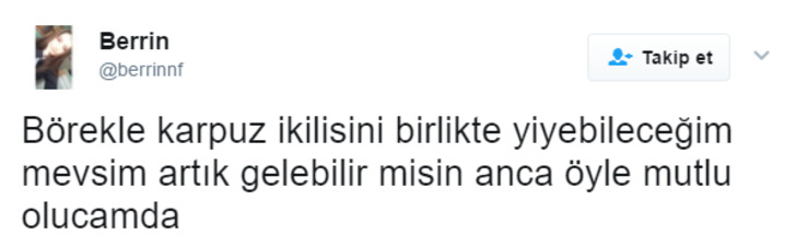 En Sevdiği Meyve Karpuz Olan Herkesin Görmesi Gereken 13 Kesmece Tweet