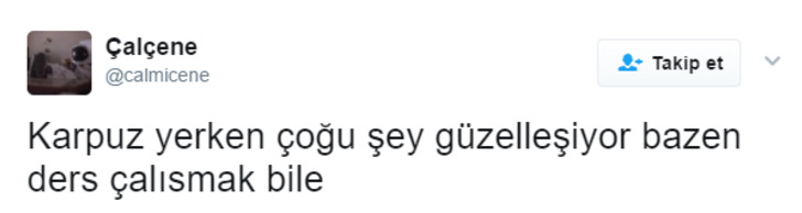 En Sevdiği Meyve Karpuz Olan Herkesin Görmesi Gereken 13 Kesmece Tweet