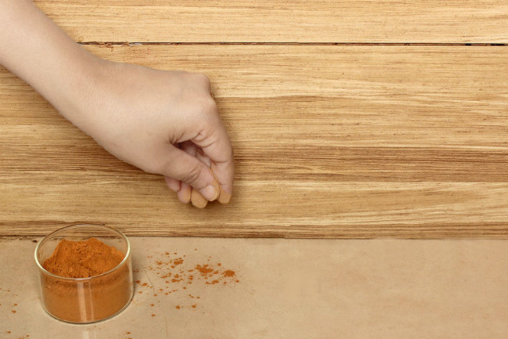 http://www.fabhow.com/how-to-get-rid-of-ants-naturally.html | fabhow