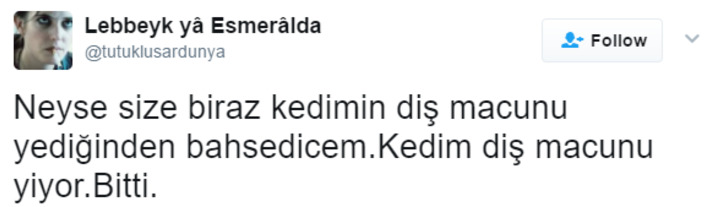 Söz Konusu Yemek Olduğunda Başı Kedilerle Tatlı Bir Belada Olan 12 Kişi