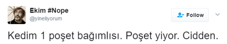 Söz Konusu Yemek Olduğunda Başı Kedilerle Tatlı Bir Belada Olan 12 Kişi