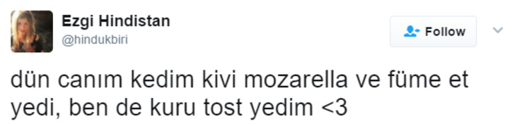 Söz Konusu Yemek Olduğunda Başı Kedilerle Tatlı Bir Belada Olan 12 Kişi