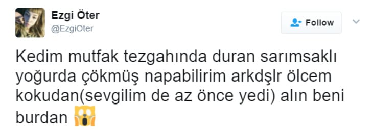 Söz Konusu Yemek Olduğunda Başı Kedilerle Tatlı Bir Belada Olan 12 Kişi