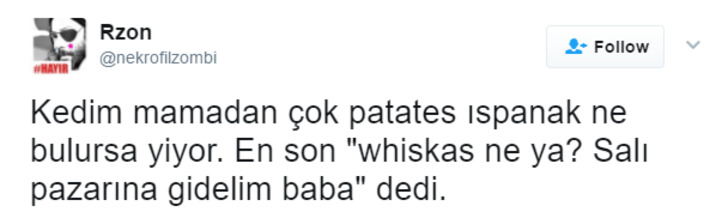 Söz Konusu Yemek Olduğunda Başı Kedilerle Tatlı Bir Belada Olan 12 Kişi