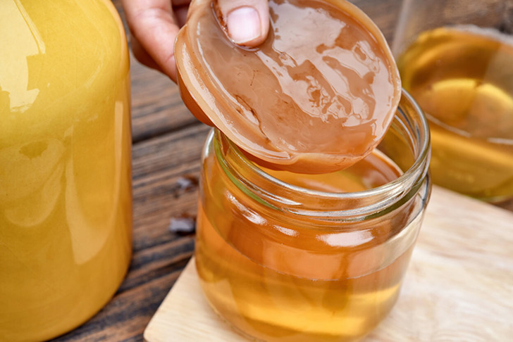 kombucha-mantari-shutter-2022