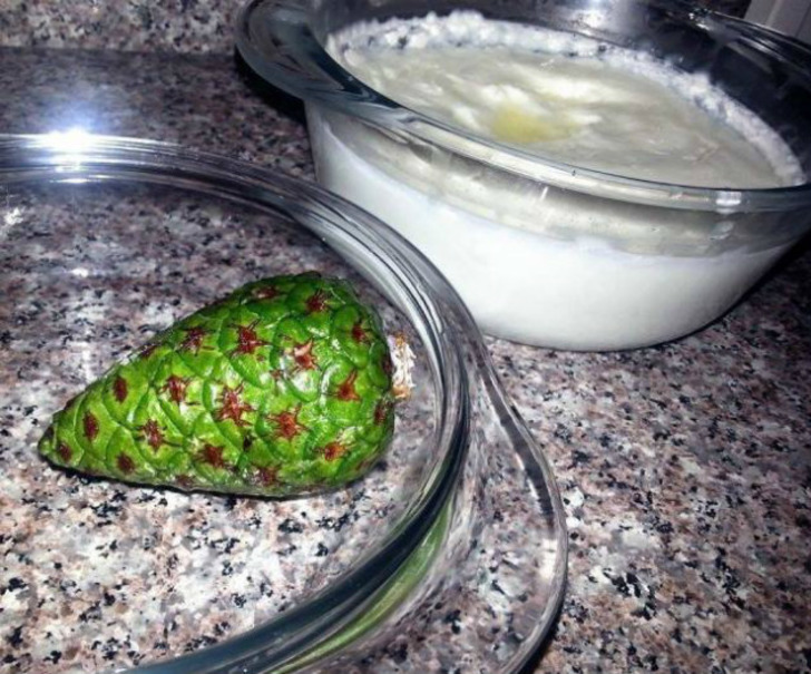 hassasanne