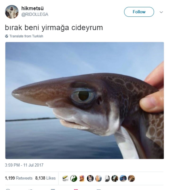 twitter