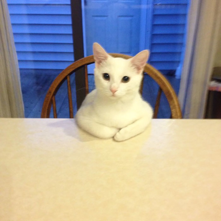 boredpanda