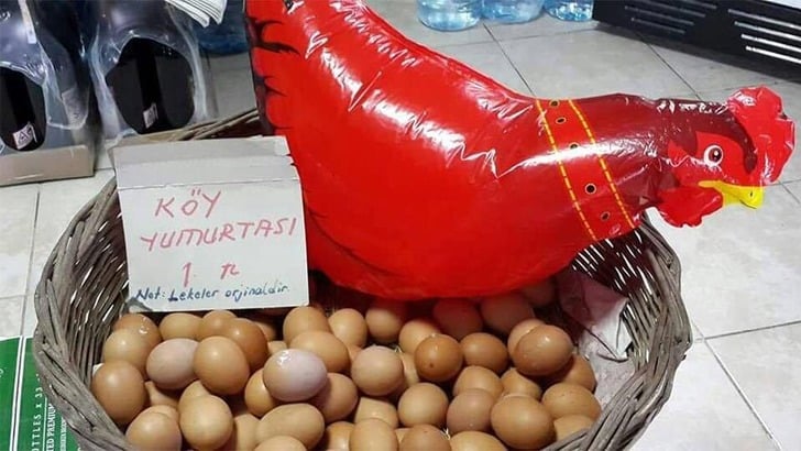 sozcu