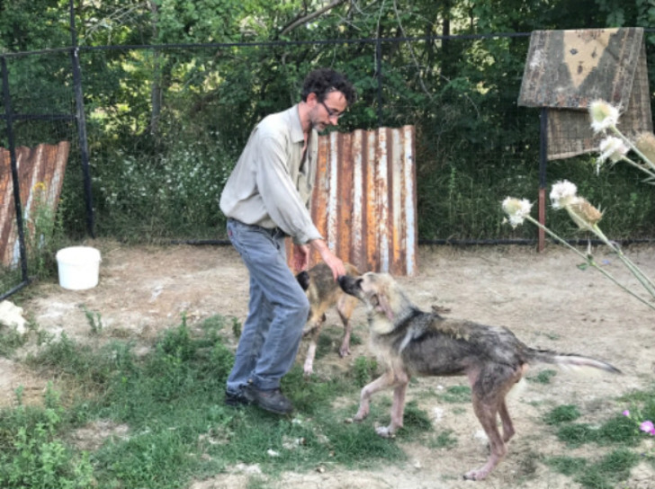 http://www.star.com.tr/yerel-haberler/baba-mirasini-sokak-hayvanlari-icin-harcadi-111254/ | star