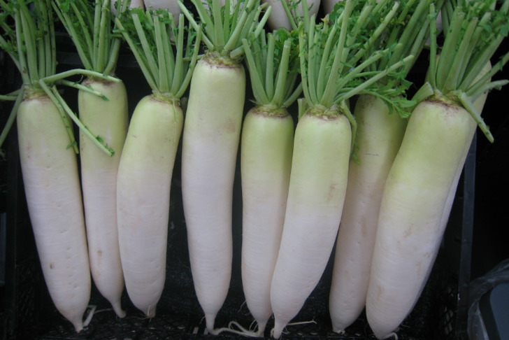6cotok