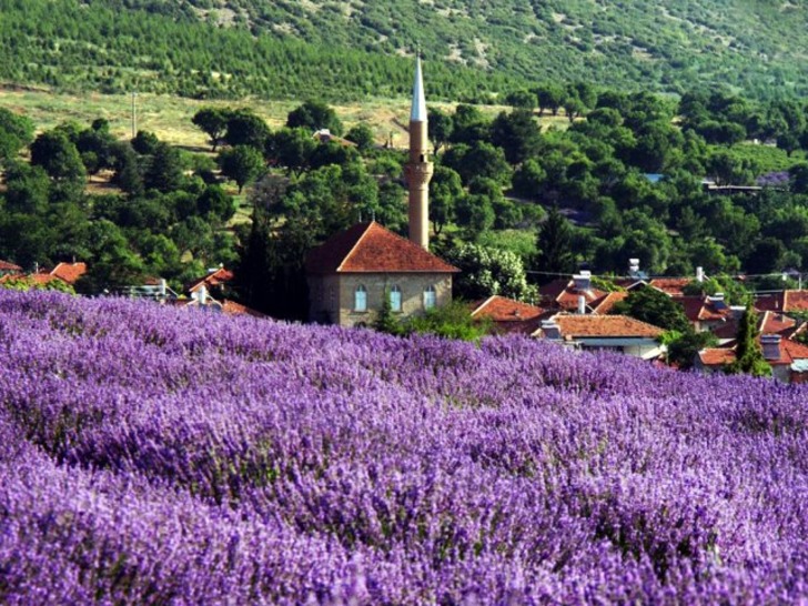 lavantakokulukoy.com