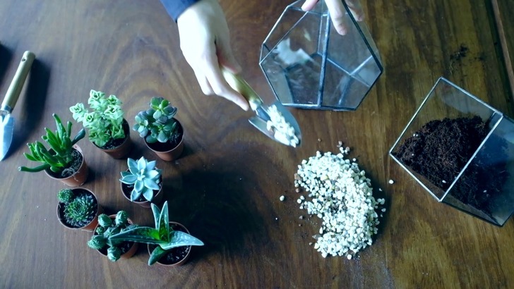 thisiska - terrarium atolyesi