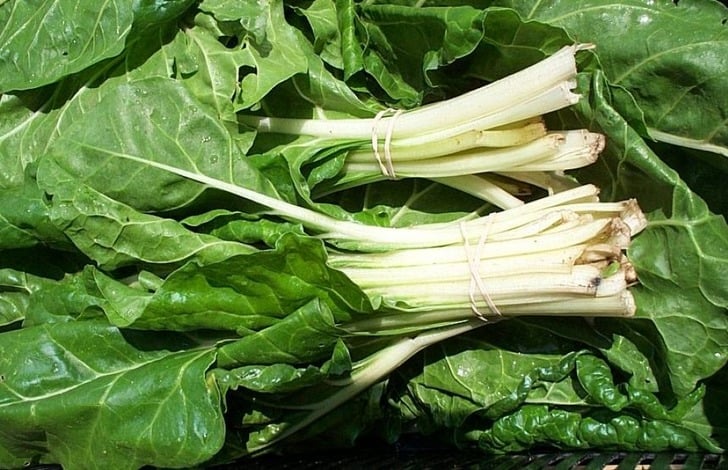 pazi-yapragi