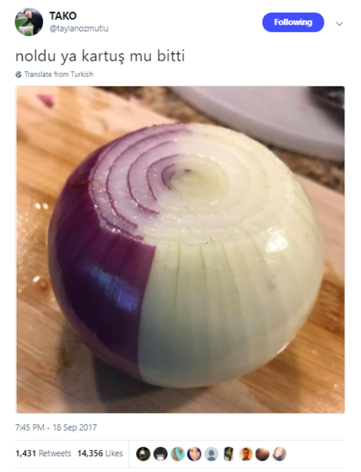 twitter