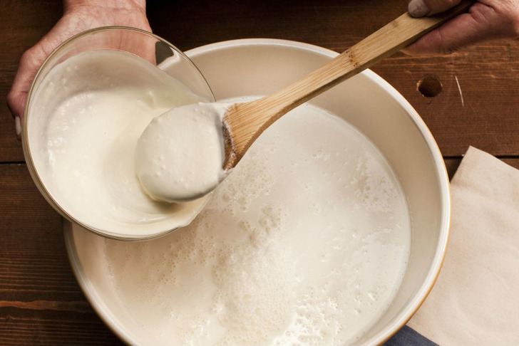 cheeseandyogurtmaking.com