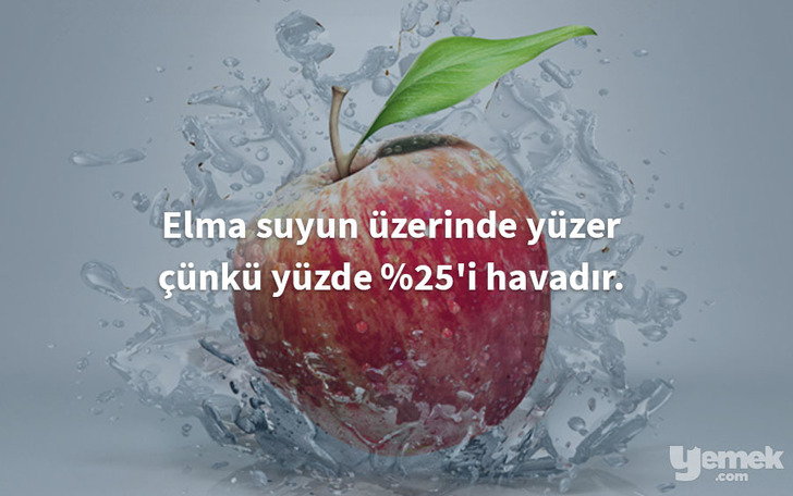 behance - elma - yiyecekler hakkında bilgiler