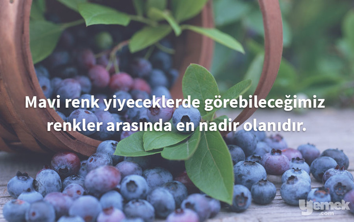 hdwall - yabanmersini - yiyecekler hakkında bilgiler