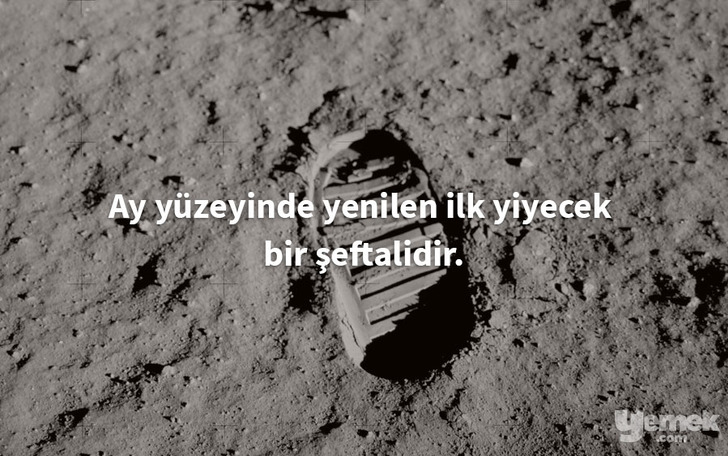 wikipedia - şeftali - yiyecekler hakkında bilgiler