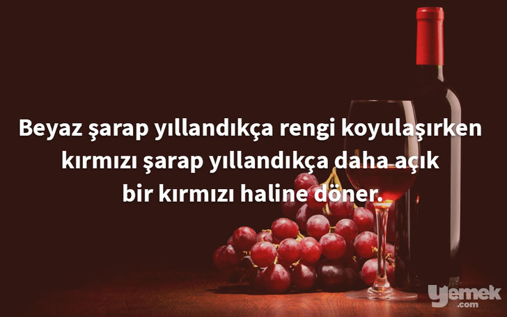 totalgymdirect - şarap - yiyecekler hakkında bilgiler
