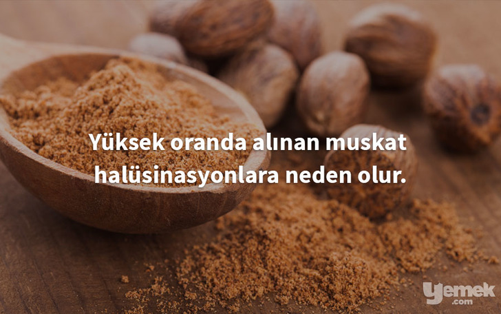 baktoflavors - muskat - yiyecek hakkında bilgiler