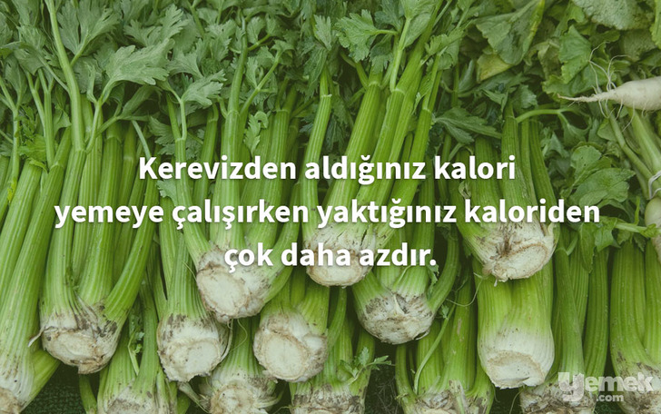 gardeningknowhow - kereviz - yiyecekler hakkında bilgiler