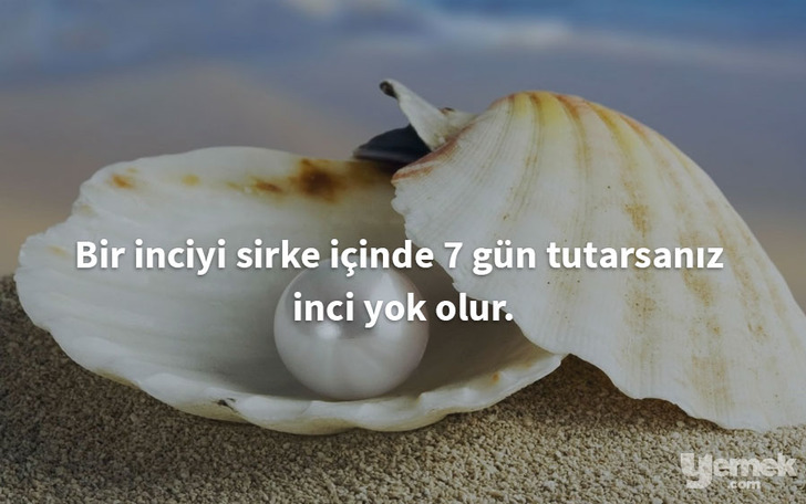 blogdechanty - sirke - yiyecekler hakkında bilgiler
