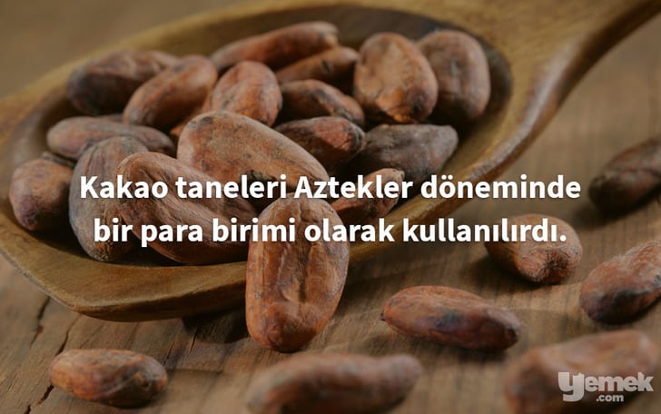 healingthebody - kakao - yiyecekler hakkında bilgiler
