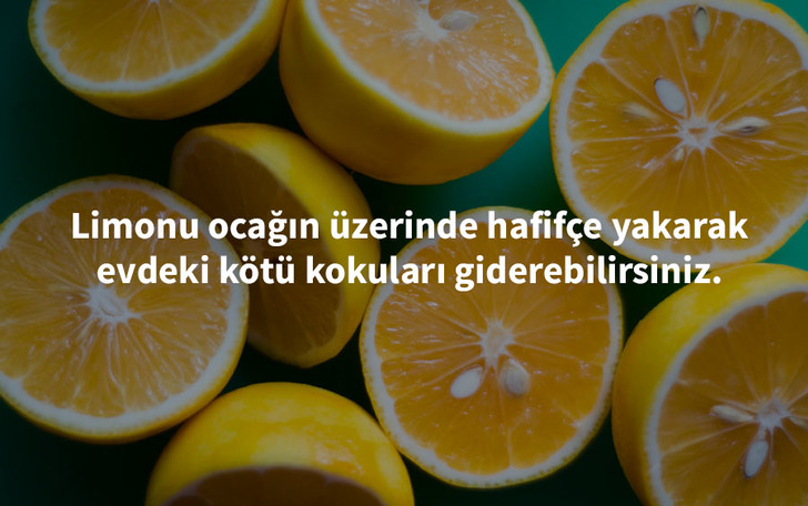  beijinghaochi - limon pratik bilgi