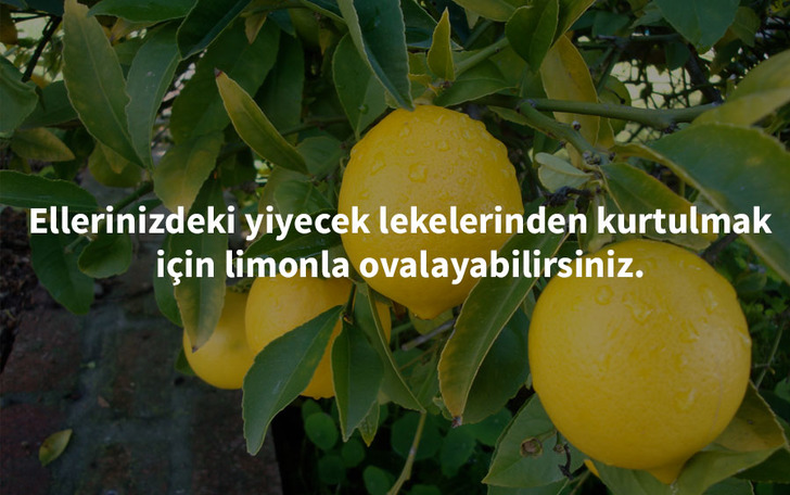 carolcassara - limon hakkında pratik bilgiler
