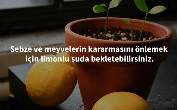 growingwildceeds-  limon pratik bilgi