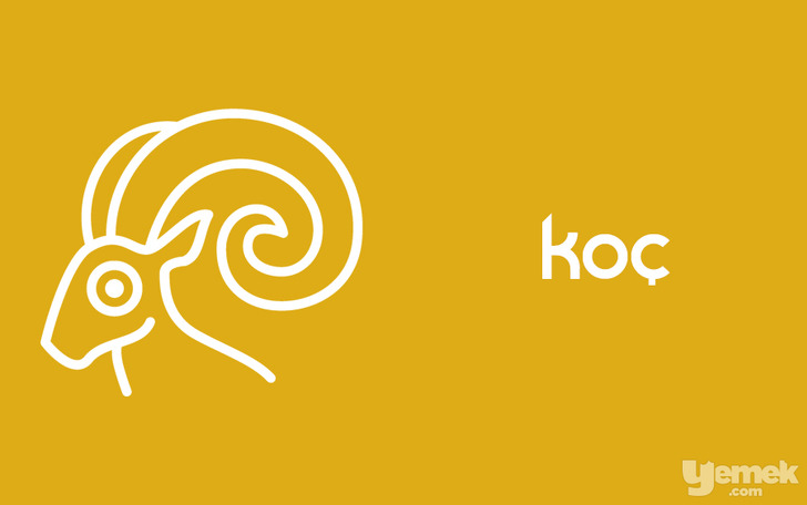 koc-burcu