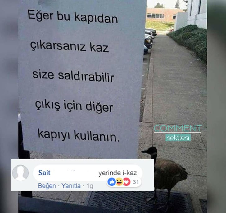 facebook/commentselalesi