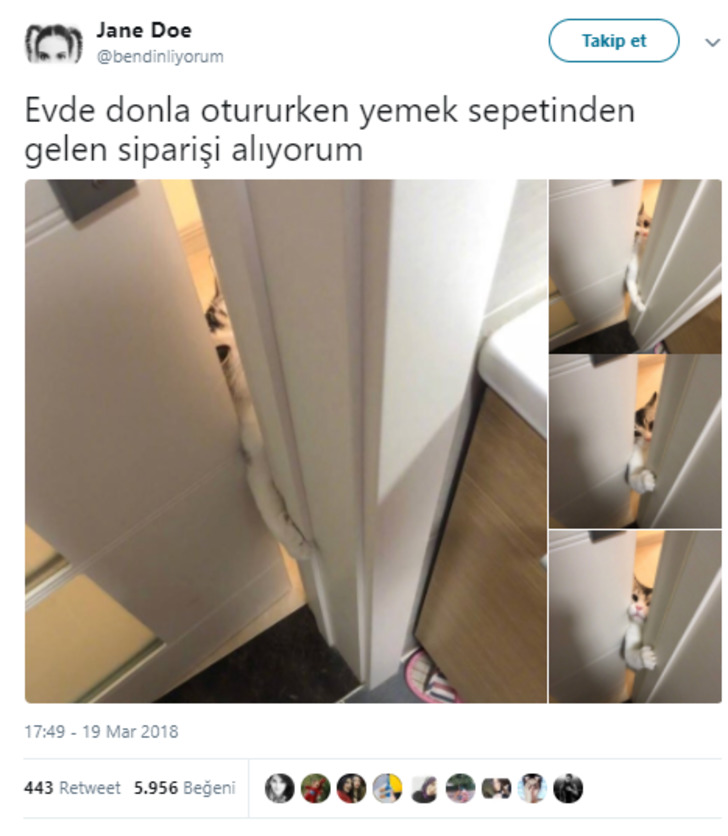 twitter
