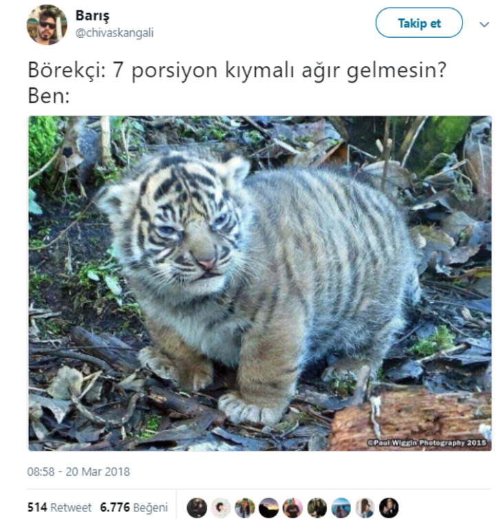 twitter