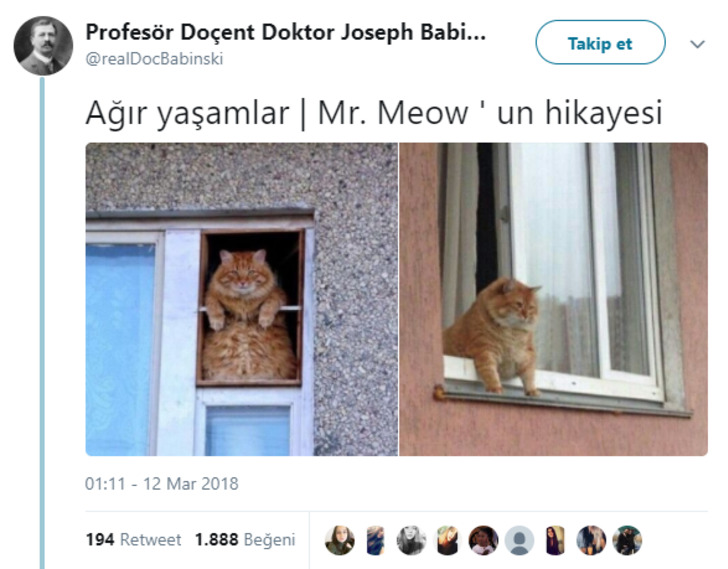 twitter
