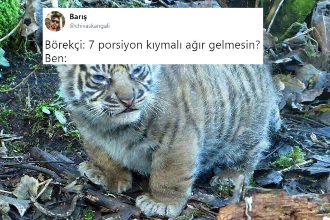 Tüm Haftanızın Keyifli Geçmesini Sağlayacak Son Dönemin En İyi 20 Tweet'i