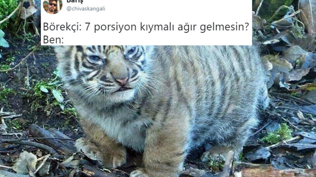 Tüm Haftanızın Keyifli Geçmesini Sağlayacak Son Dönemin En İyi 20 Tweet'i