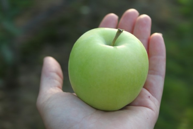 lubera