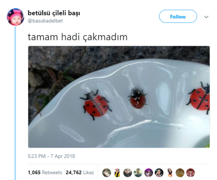 twitter