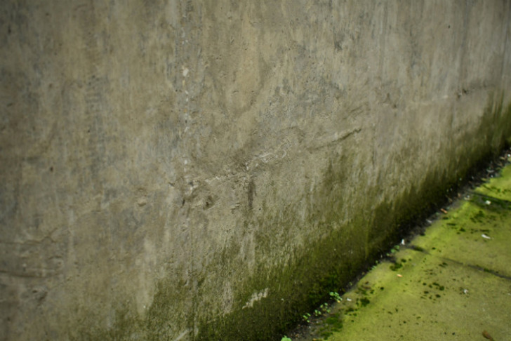 textureref