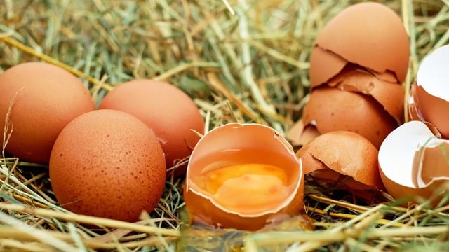 Ezber Bozan Gerçekler: Çiğ Yumurta Tüketmek Gerçekten Faydalı mı?