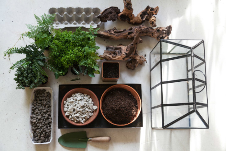 homesteadbrooklyn