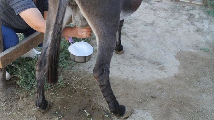 hurriyet