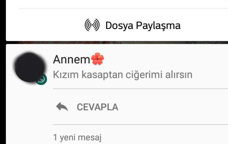 twitter/asiyenurzengin