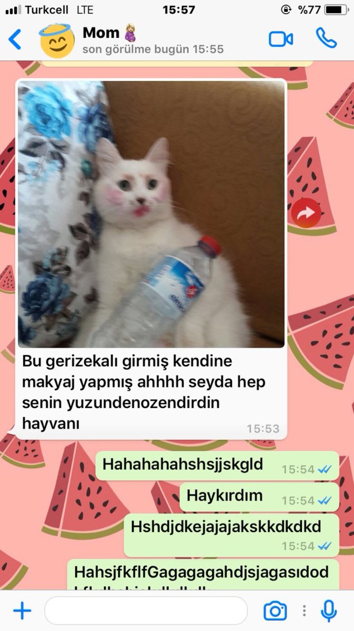 twitter/buyukgumuseyda
